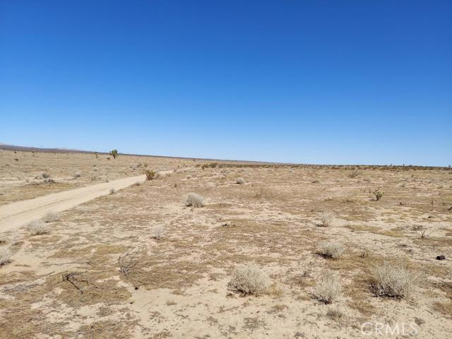 0 Bellflower Street Property Photo 2