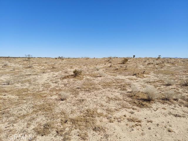 0 Bellflower Street Property Photo 3