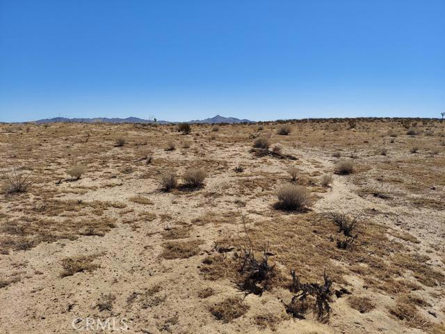 0 Bellflower Street Property Photo 4