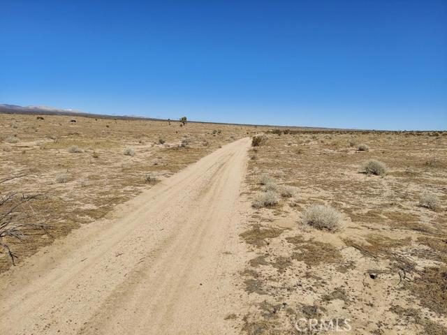 0 Bellflower Street Property Photo 6