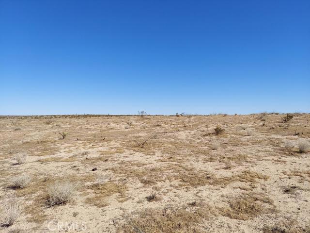 0 Bellflower Street Property Photo 1