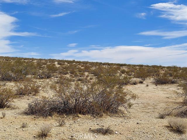 1 Locust Avenue Property Photo