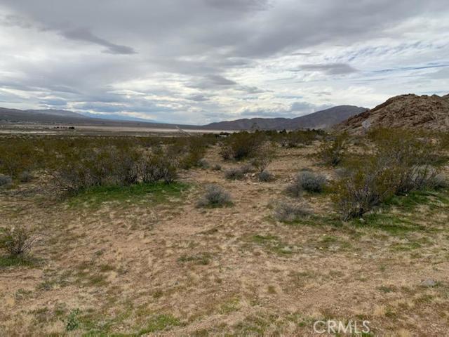 0 Rabbit Springs Road Property Photo