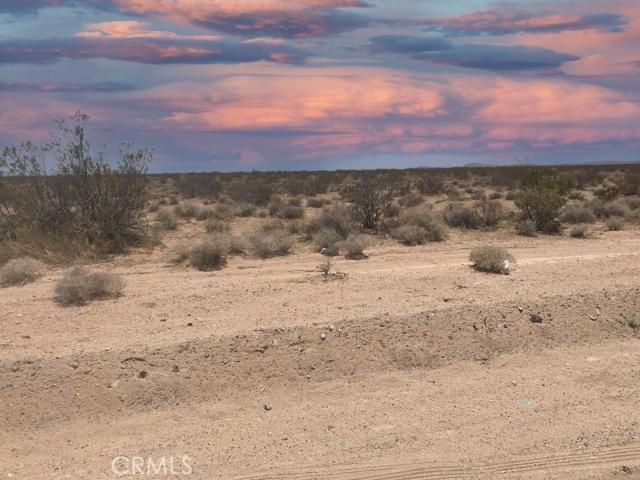 0 Shadow Mountain Road Property Photo 4