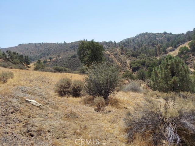 0 Fox Ridge Court Property Photo 3