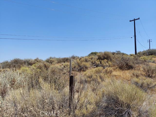 0 Fox Ridge Court Property Photo 4