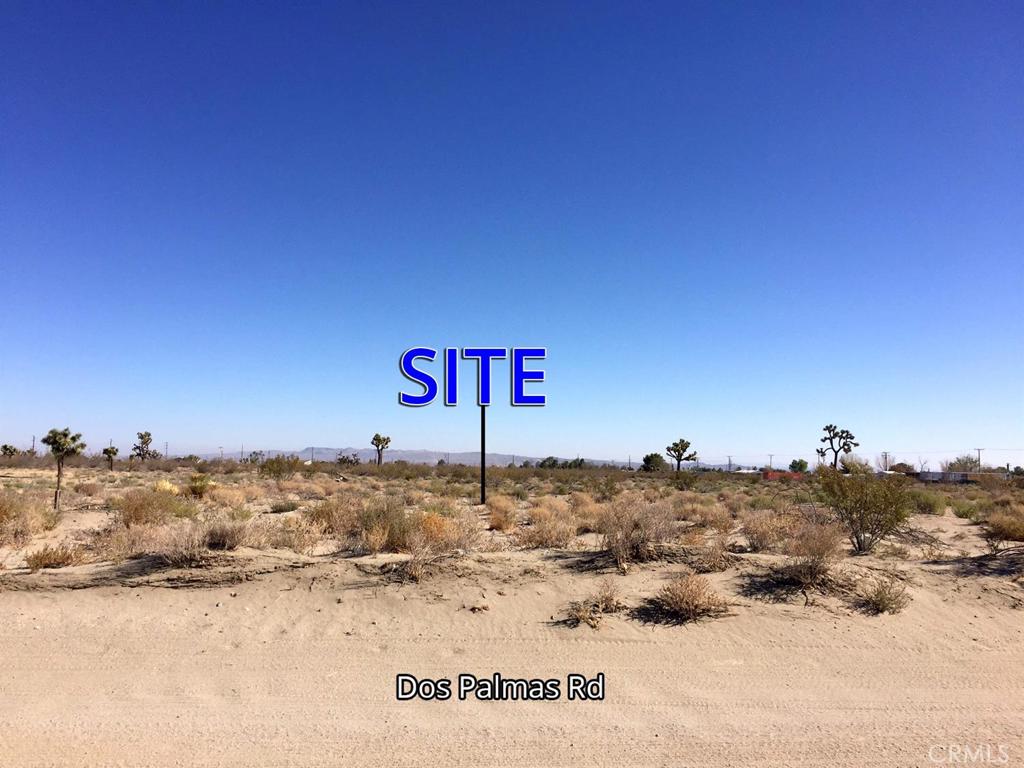 0 Palmdale Road Property Photo 6