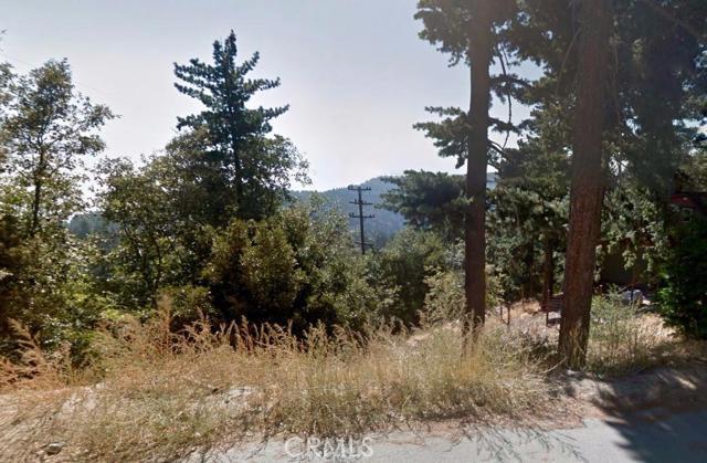 0 Pine Property Photo 3