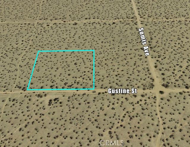 0 Gustine Street Property Photo 2