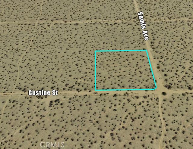 0 Gustine Street Property Photo 2