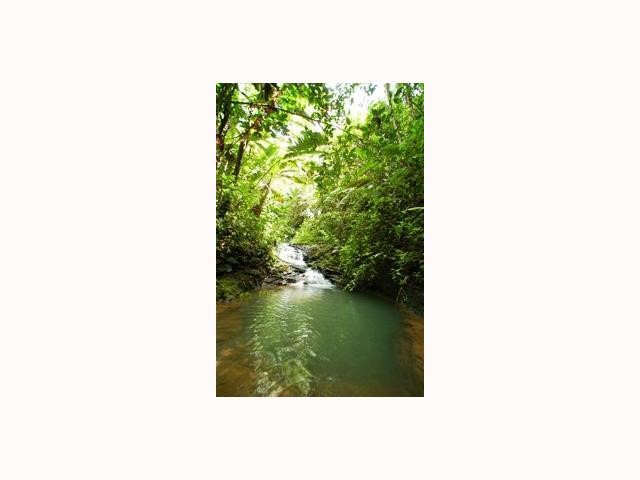 80047932 Property Photo 6