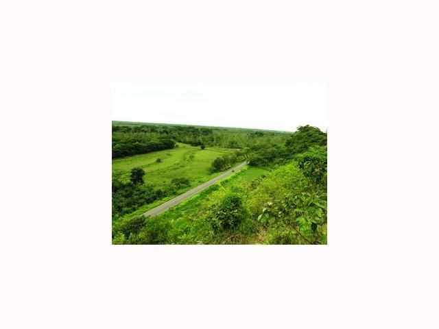 80047932 Property Photo 7