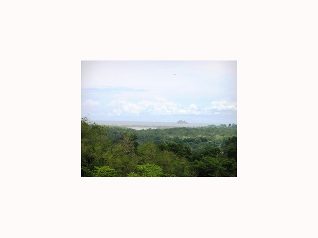 80047932 Property Photo 9
