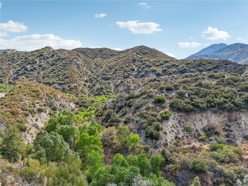 23070 Angeles Forest Property Photo 3