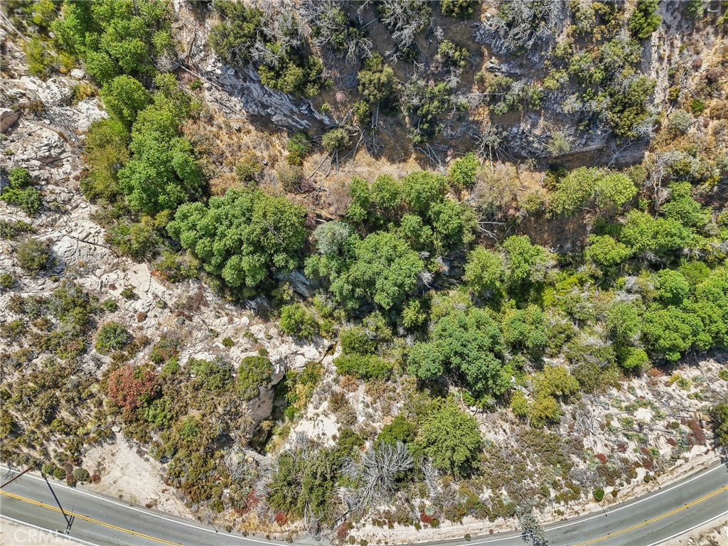 23070 Angeles Forest Property Photo 6