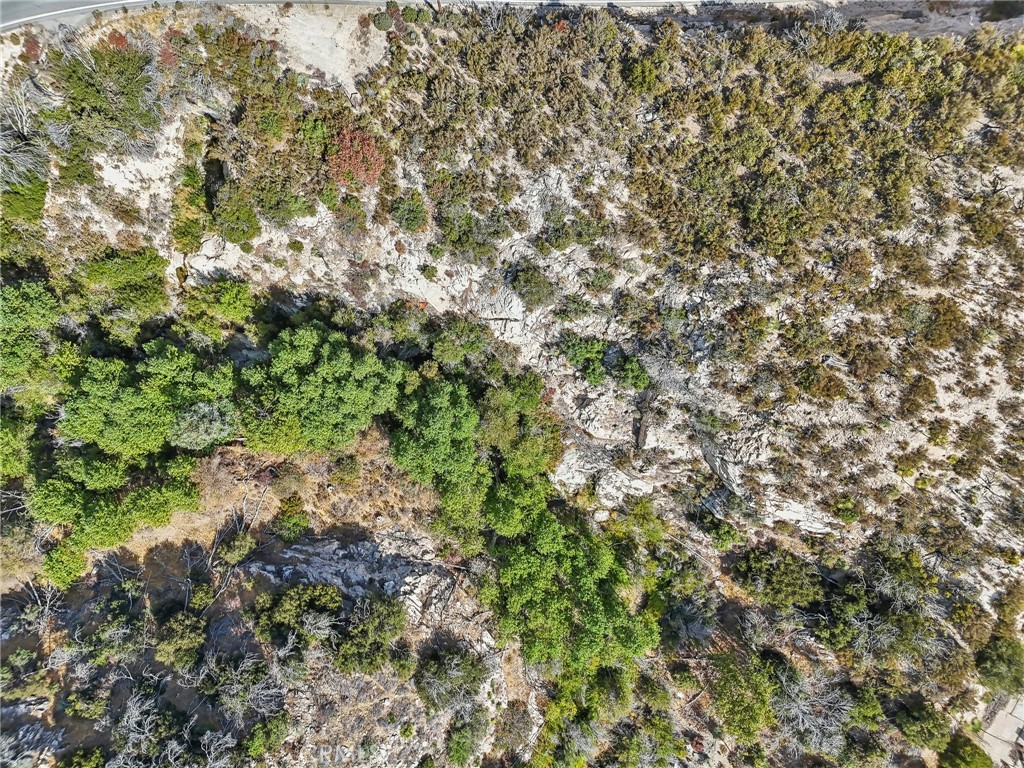 23070 Angeles Forest Property Photo 7
