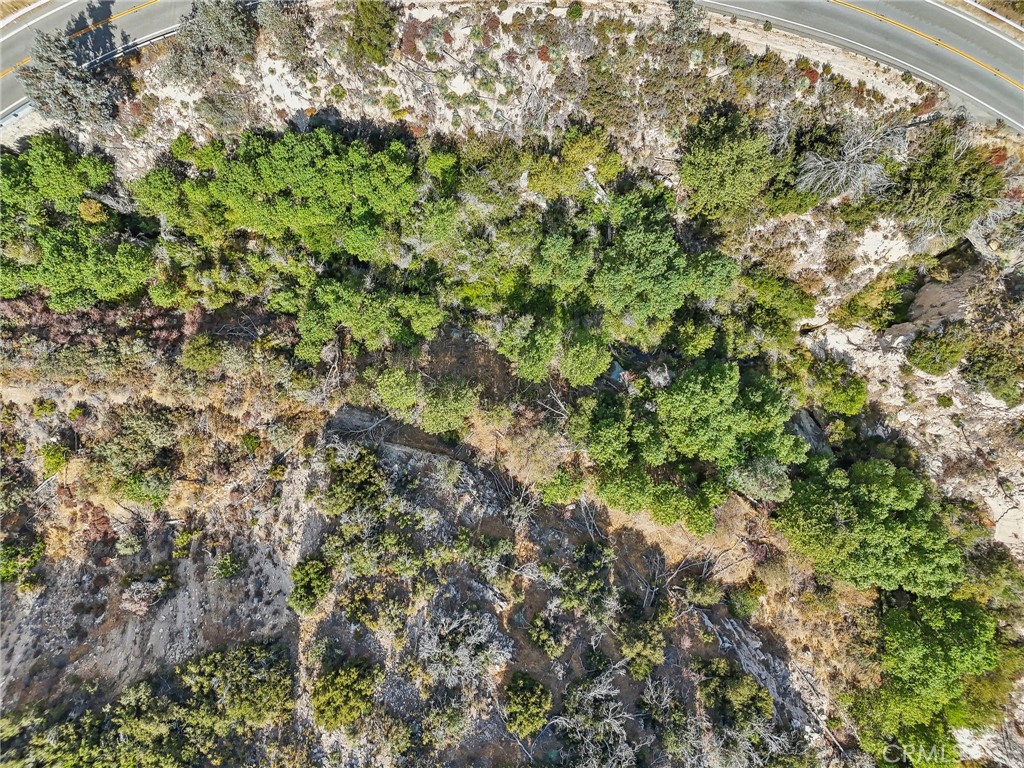 23070 Angeles Forest Property Photo 8
