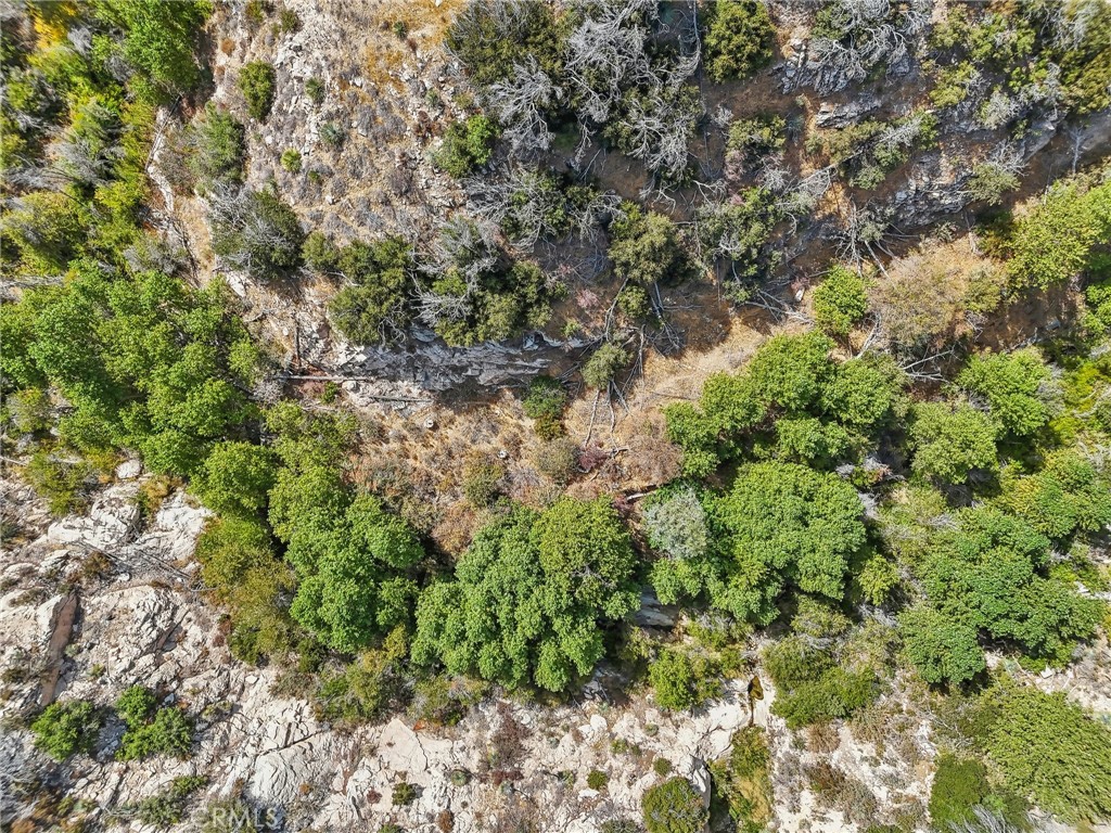 23070 Angeles Forest Property Photo 12