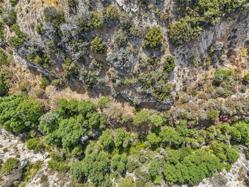 23070 Angeles Forest Property Photo 13