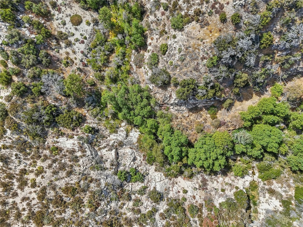 23070 Angeles Forest Property Photo 14