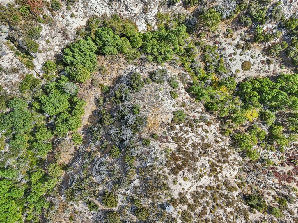 23070 Angeles Forest Property Photo 15