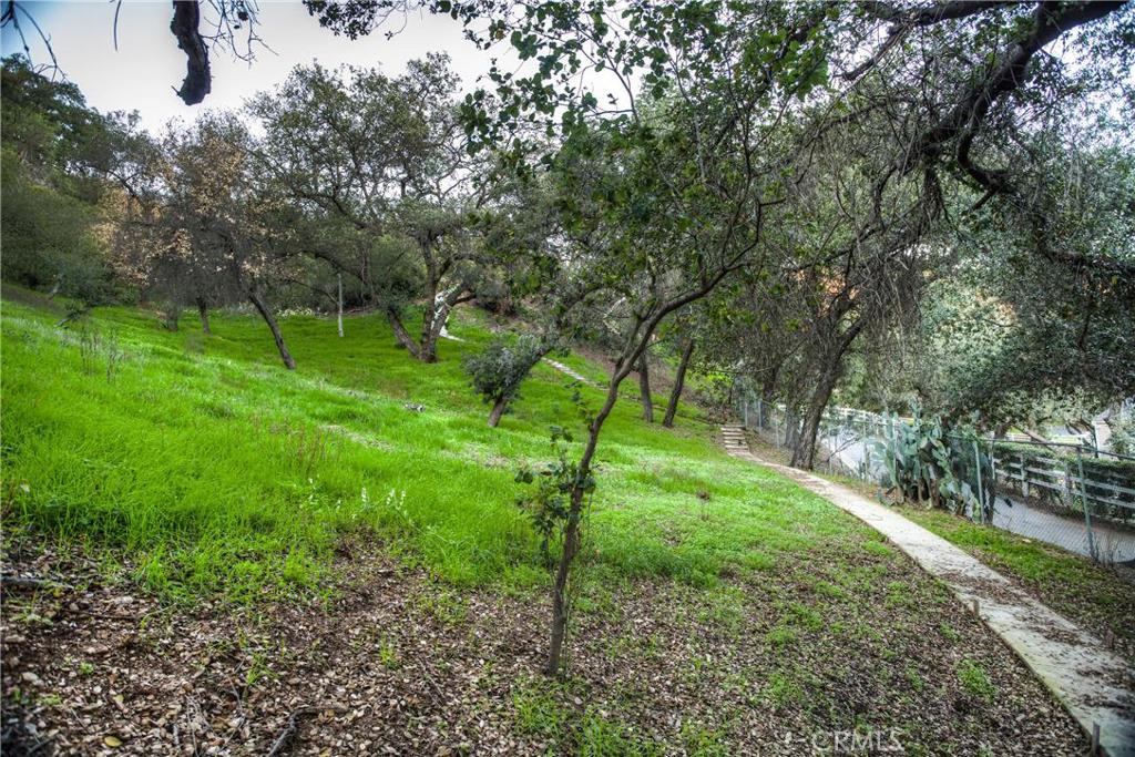 682 Deodar Lane Property Photo 19