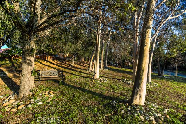 682 Deodar Lane Property Photo 29