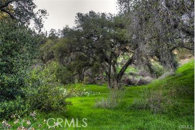 682 Deodar Lane Property Photo 32
