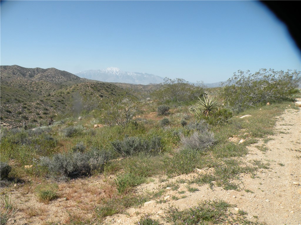 54595 Navajo Trail Property Photo 2
