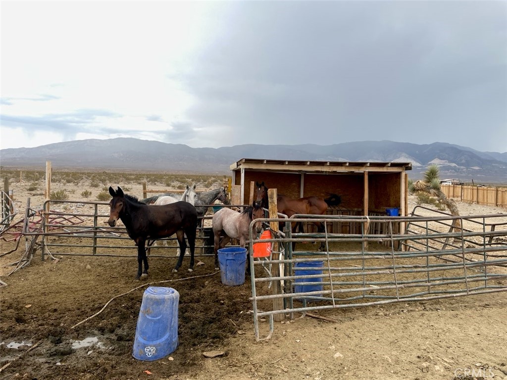 38013 Foothill Road Property Photo 21