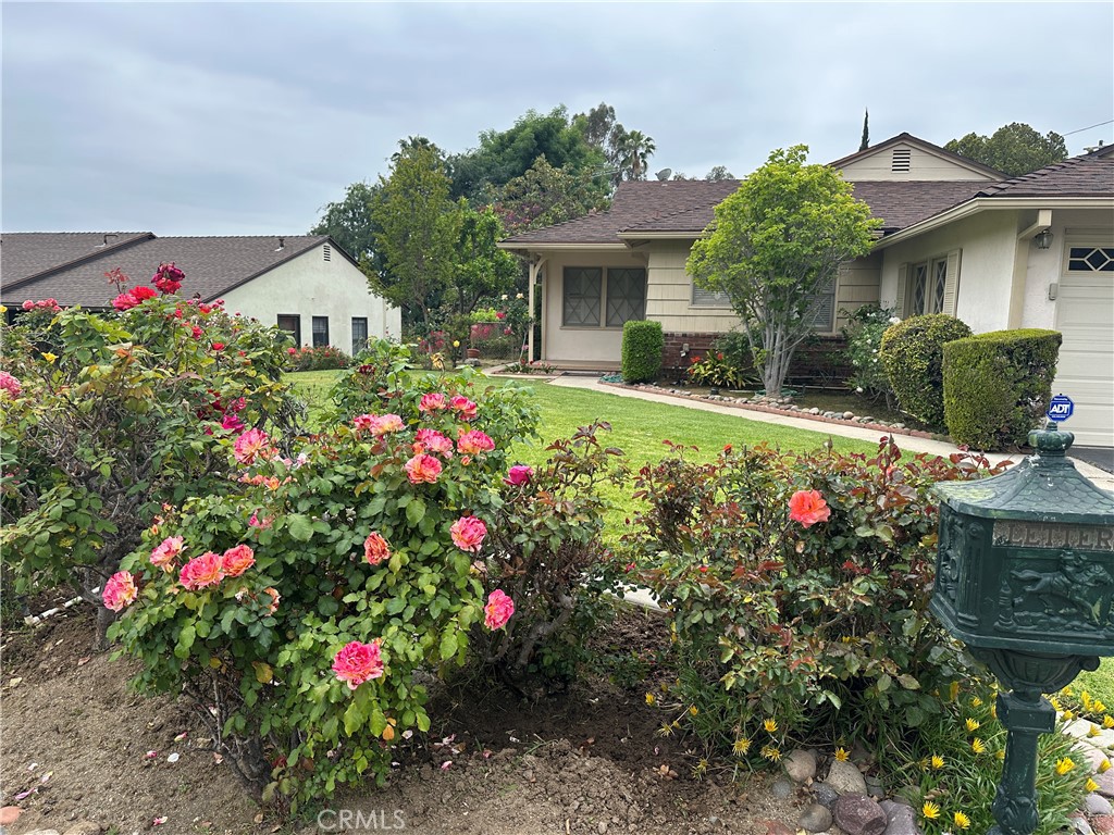 2714 Lompoc Street Property Photo 4