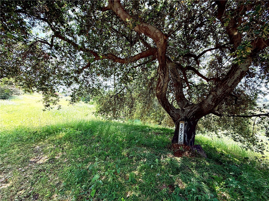 1826 Bluebird Road Property Photo 3