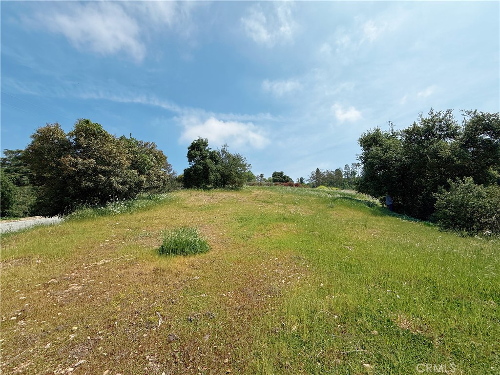1826 Bluebird Road Property Photo 4