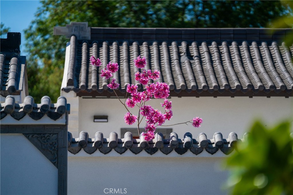 11 Deodar Lane Property Photo 2