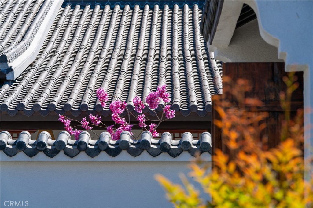 11 Deodar Lane Property Photo 7