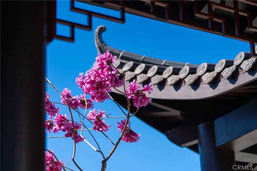 11 Deodar Lane Property Photo 10