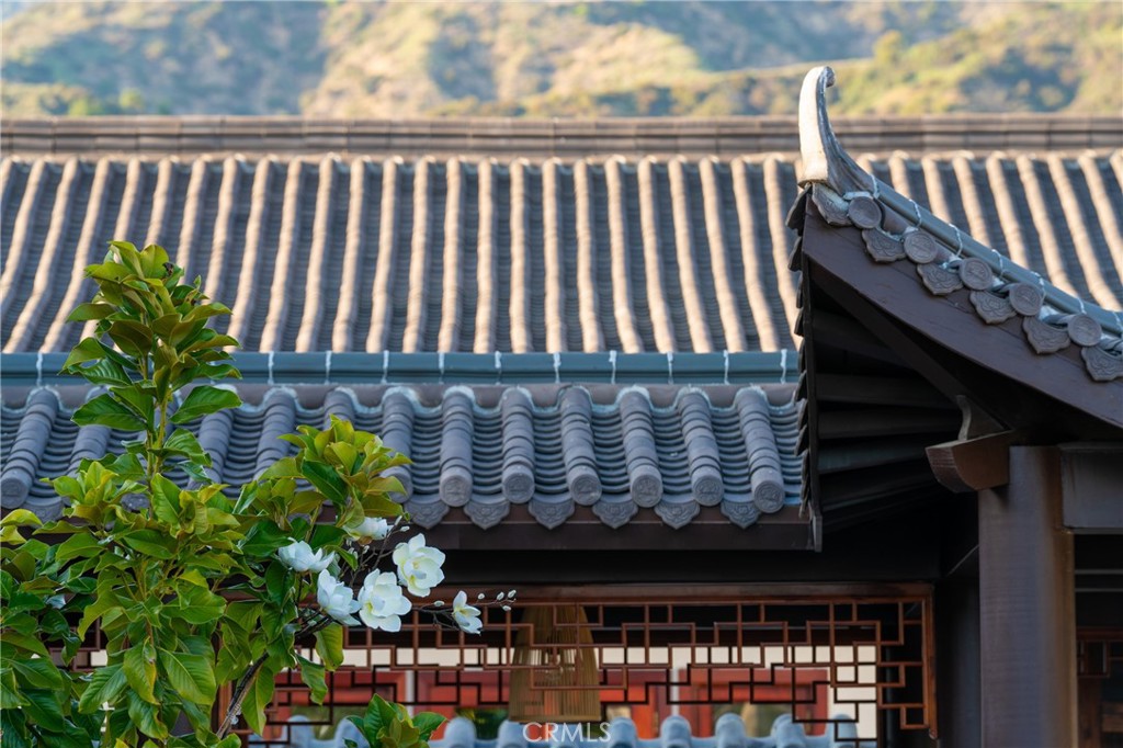 11 Deodar Lane Property Photo 32