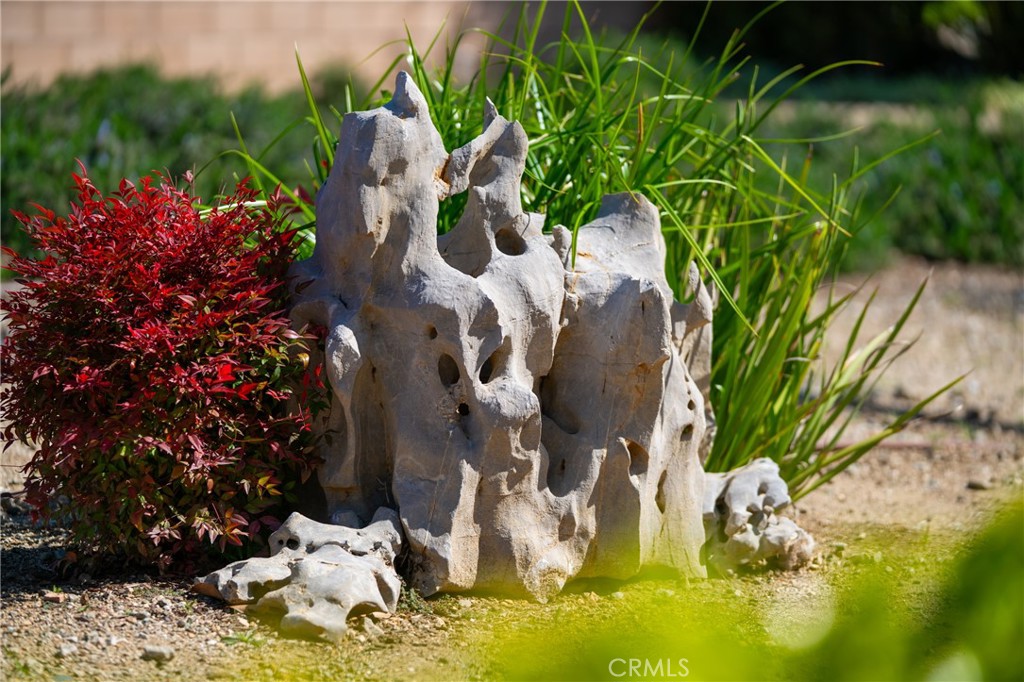 11 Deodar Lane Property Photo 66