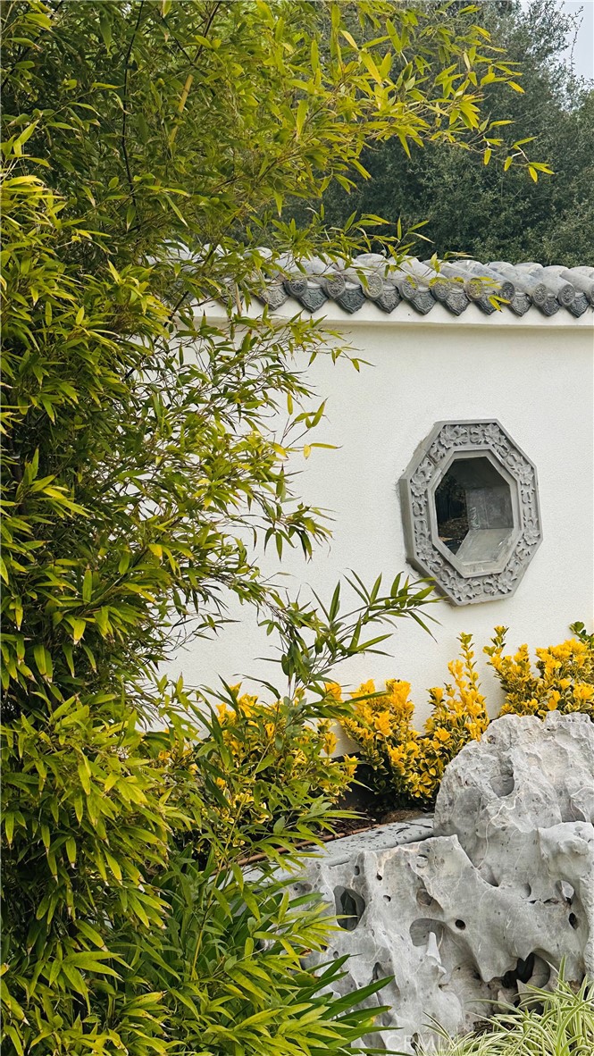 11 Deodar Lane Property Photo 67