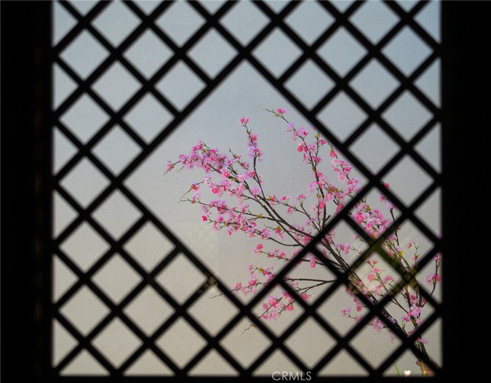 11 Deodar Lane Property Photo 70