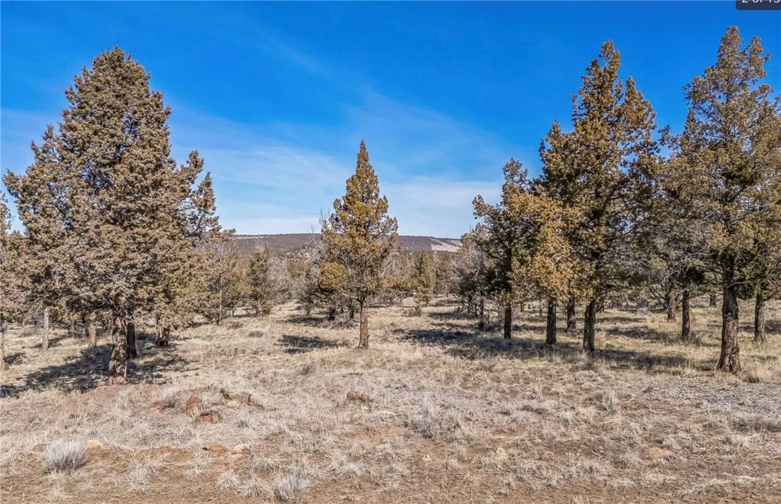 0 Canyon Road Property Photo 1