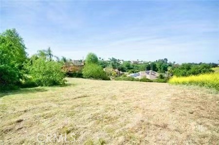 1043 Via Romales Property Photo 2