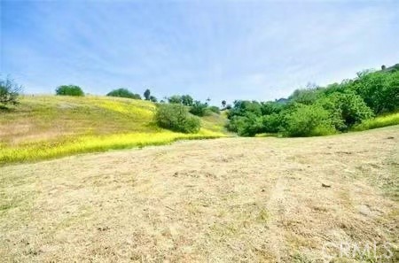 1043 Via Romales Property Photo 3
