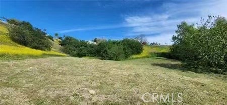 1043 Via Romales Property Photo 4