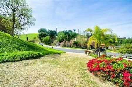 1043 Via Romales Property Photo 5