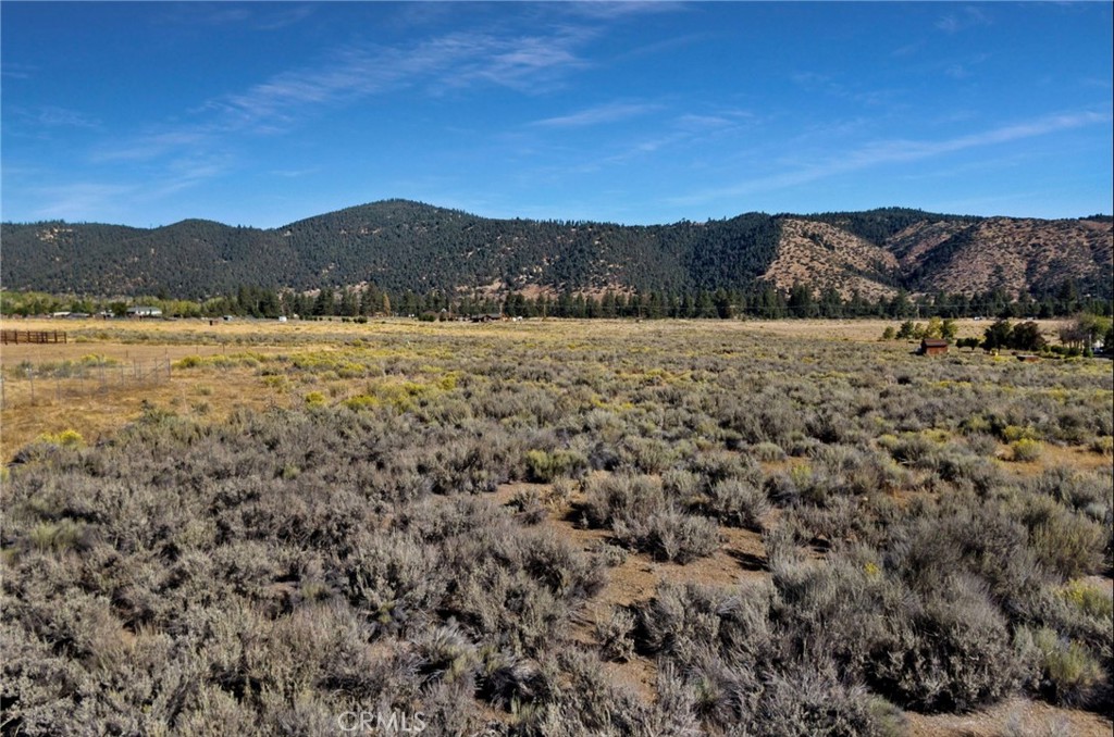 1085 Dusty Trail Property Photo 3