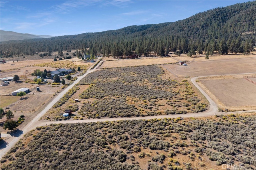 1085 Dusty Trail Property Photo 13