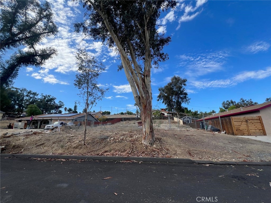 0 Pierce Property Photo 3