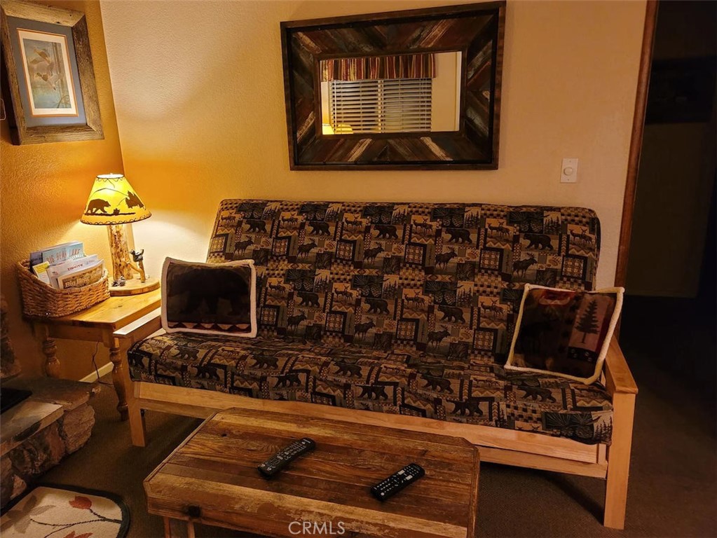 40241 Big Bear Property Photo 13