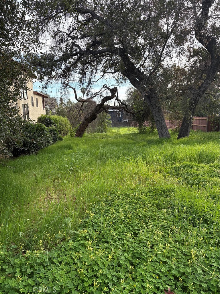 0 Mariposa Avenue Property Photo 3